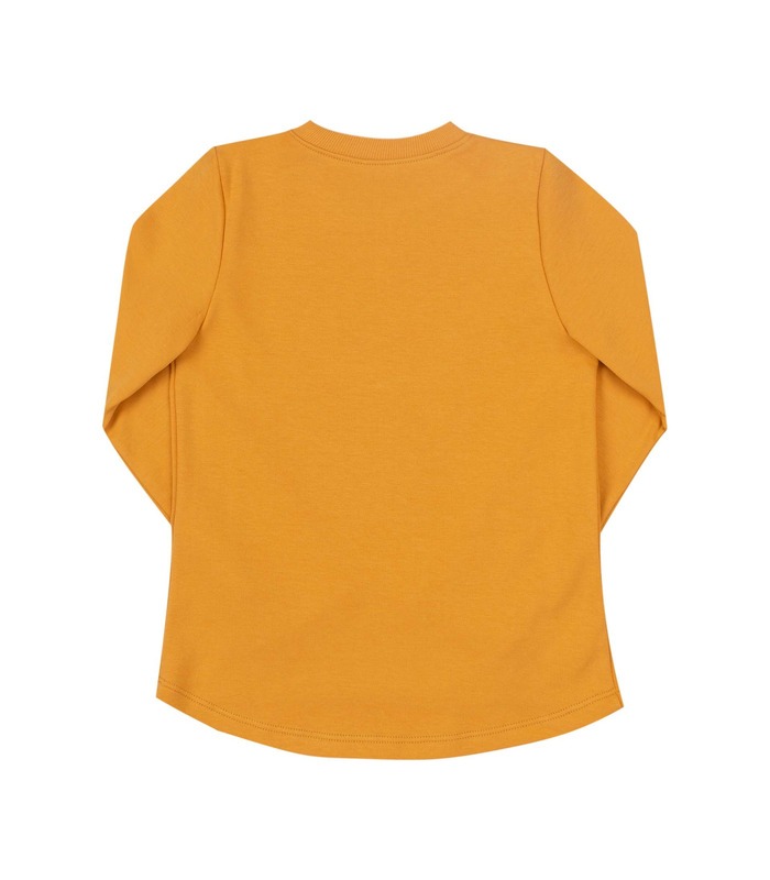 Детский джемпер ФБ843 YE