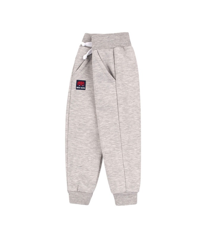 Детские штаны ШР692 GR