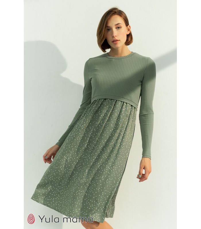 Сукня Паула OL