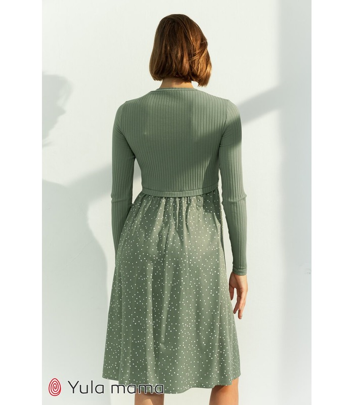 Сукня Паула OL