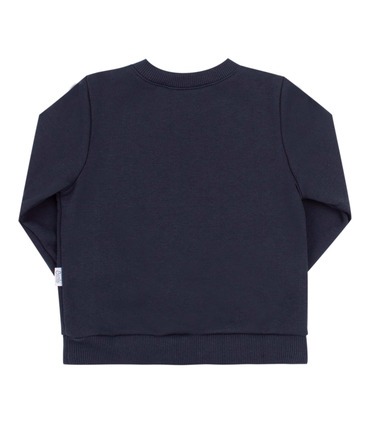 Дитячий джемпер ДЖ267 TS