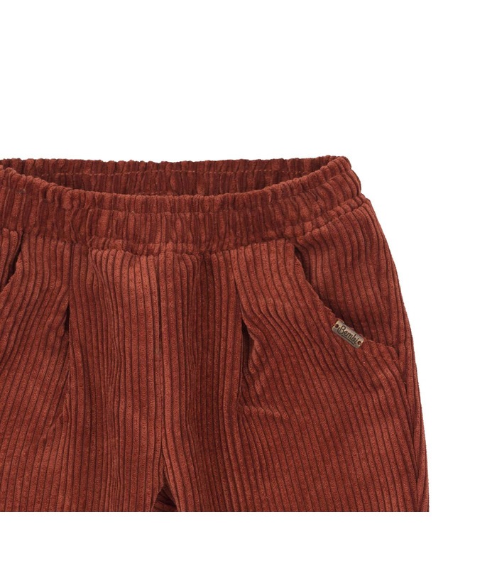 Дитячі штани ШР696 TE