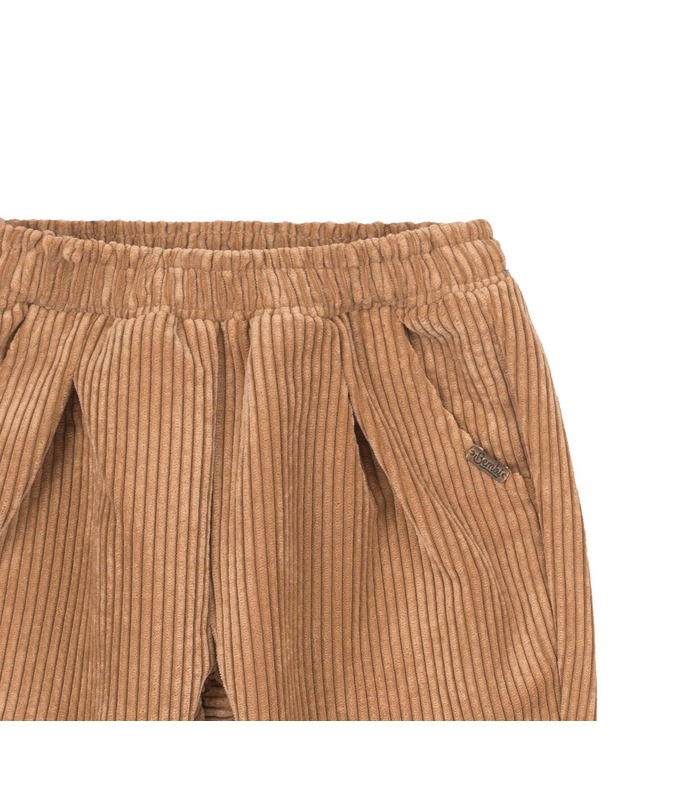 Детские штаны ШР696 BG