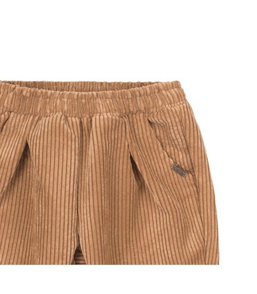 Дитячі штани ШР696 BG