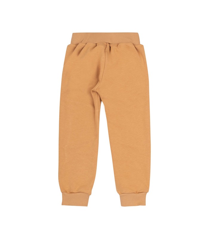 Дитячі штани ШР718 BG