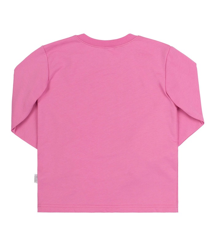 Детская байковая пижама ПЖ55 В (431)