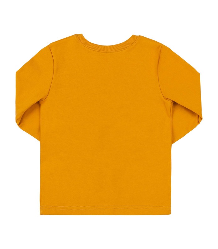 Детский джемпер ФБ883 YE