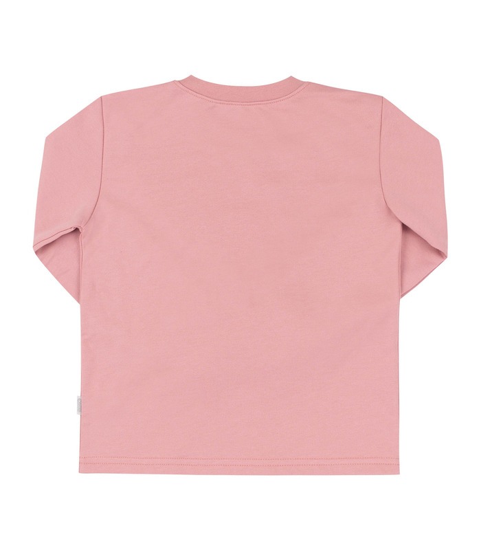 Детская байковая пижама ПЖ55 (3X9)