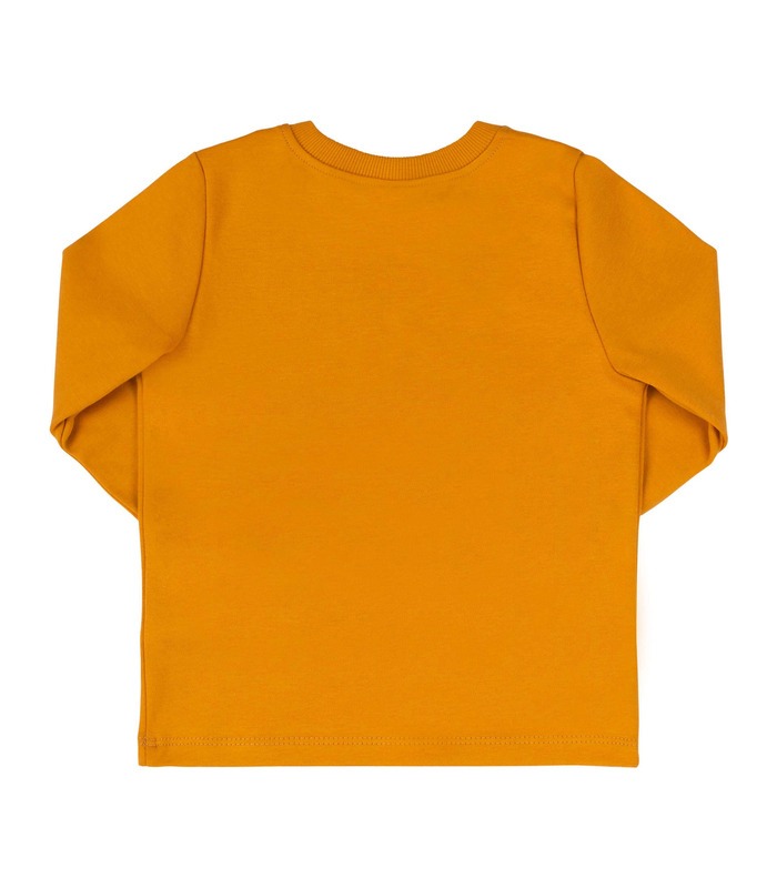 Дитячий джемпер ФБ882 YE