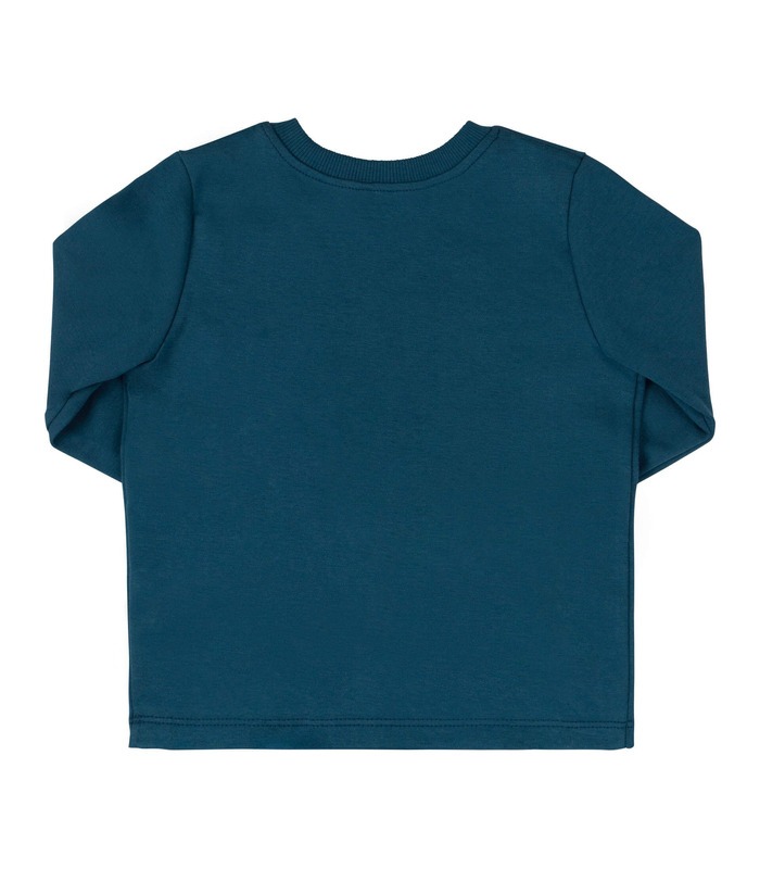 Детский джемпер ФБ882 BI