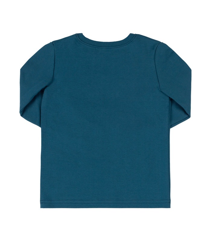 Детский джемпер ФБ883 BI