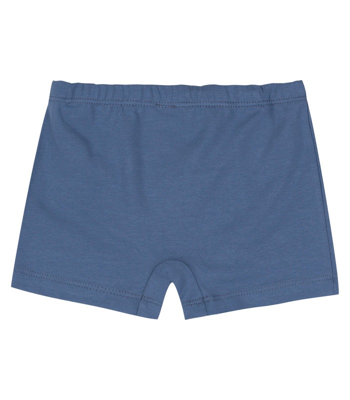 Детские трусы ТР46 BB