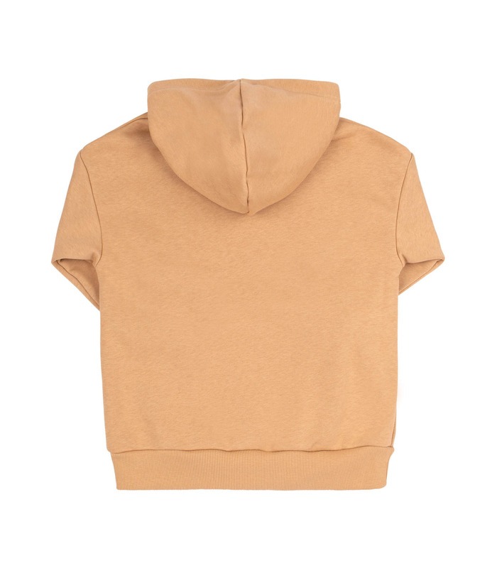 Дитяче худі ДЖ296 BG