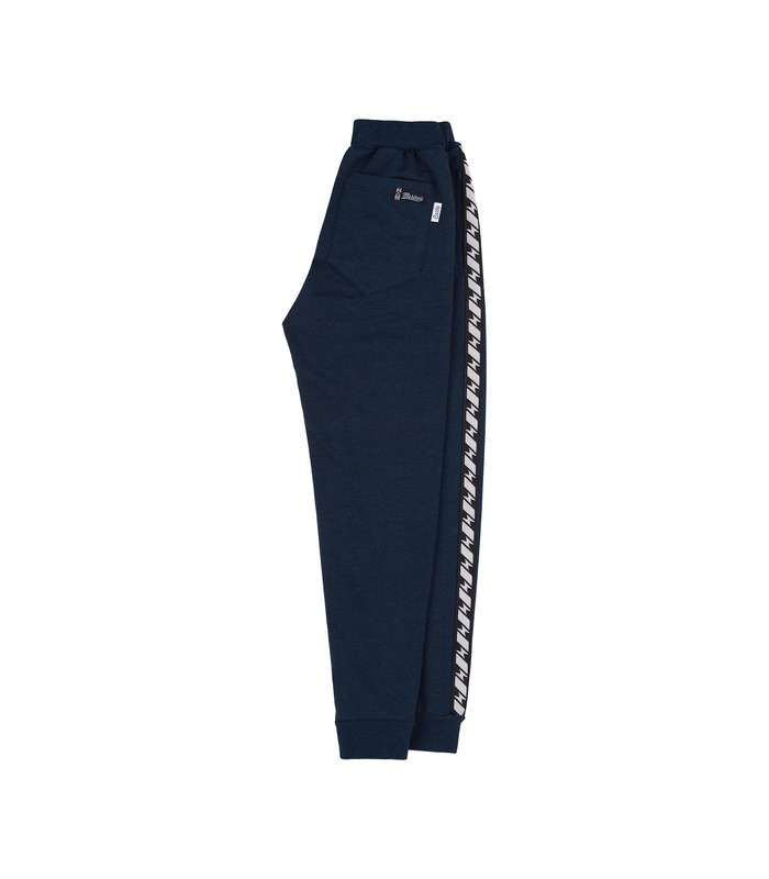 Штаны ШР602 TS