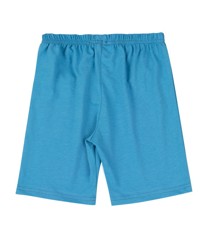 Дитяча піжама ПЖ54 (410)