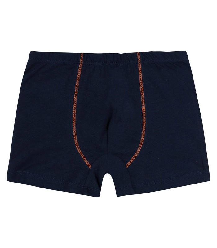 Набор трусиков детских (2шт.) НБ17 (801)