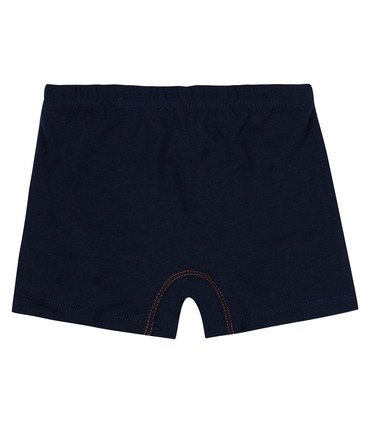 Набор трусиков детских (2шт.) НБ17 (801)