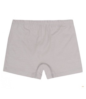 Набір трусиків дитячих (2шт.) НБ17 (X01)