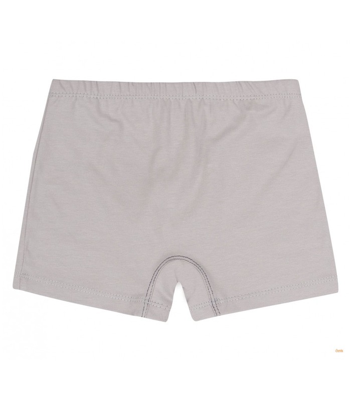 Набор трусиков детских (2шт.) НБ17 (X01)