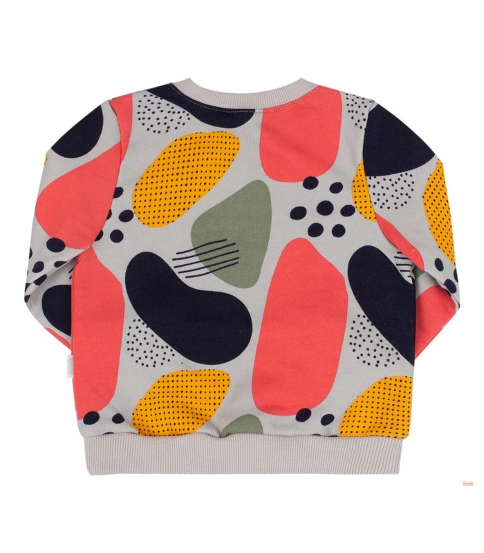 Світшот дитячий ДЖ282