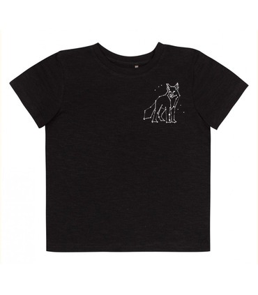 Футболка дитяча ФБ857 (Y00)