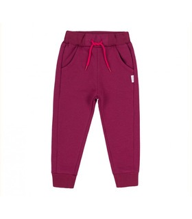Детские теплые штаны ШР554 (N00) ➤ яркие детские спортивные штаны на флисе от МамаТато