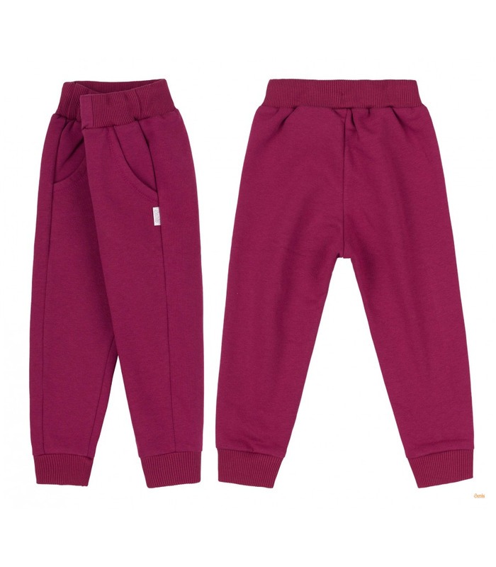 Детские штаны ШР554 (N00)