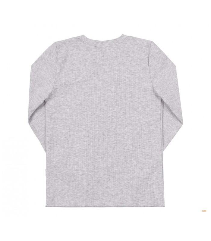 Дитячий лонгслів ФБ847