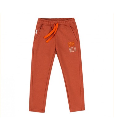 Детские штаны ШР478 (F00)