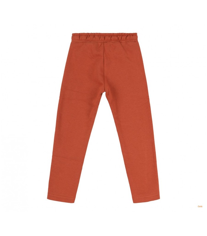 Дитячі штани ШР478 (F00)