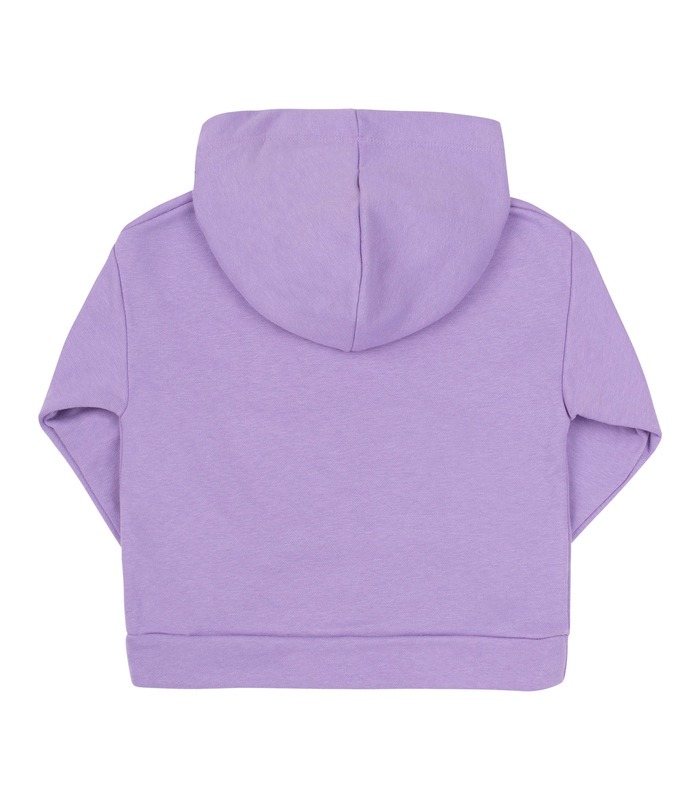 Дитяче худі ДЖ314 (Q00)