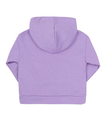 Дитяче худі ДЖ314 (Q00)