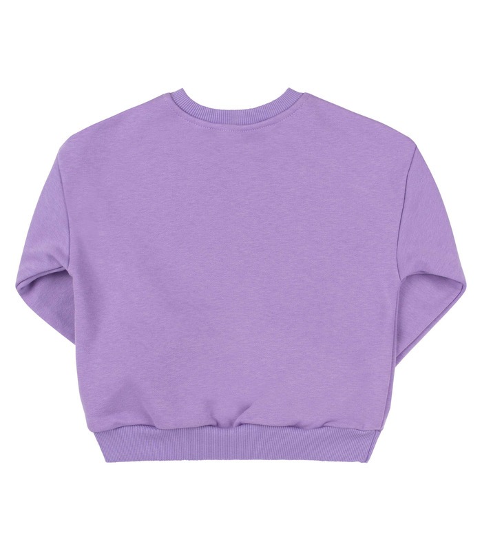 Дитячий світшот ДЖ315 (Q00)