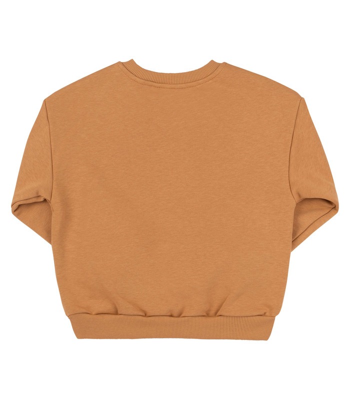 Дитячий світшот ДЖ315 (G00)