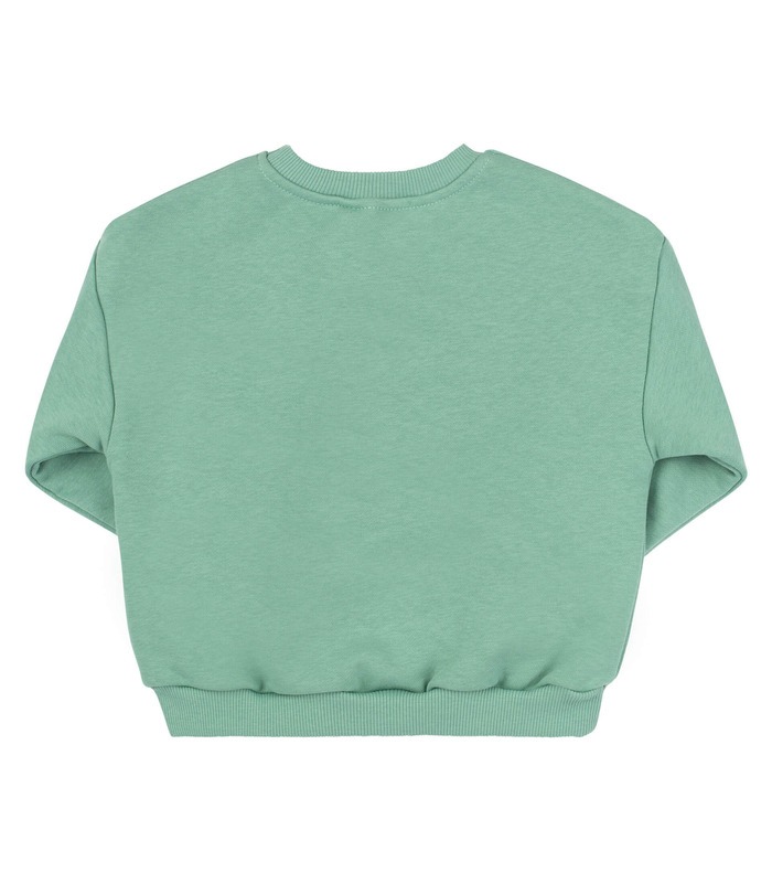 Дитячий світшот ДЖ315 (U00)