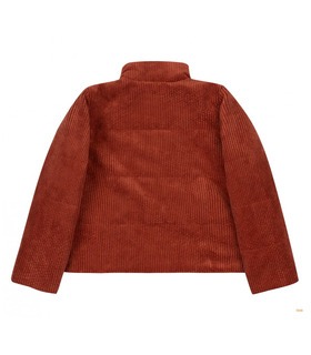 Осенняя детская куртка КТ259 (F00)