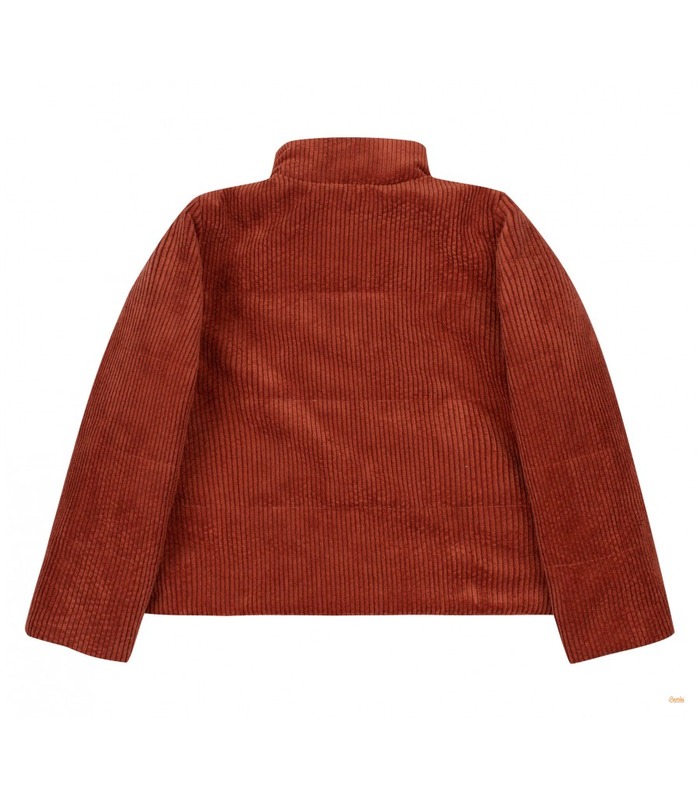 Осенняя детская куртка КТ259 (F00)