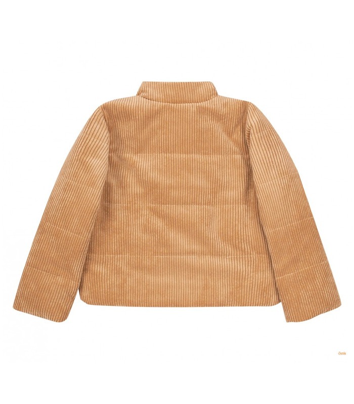 Осенняя детская куртка КТ259 (G00)