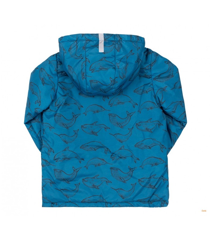 Осіння дитяча куртка КТ246 (801)