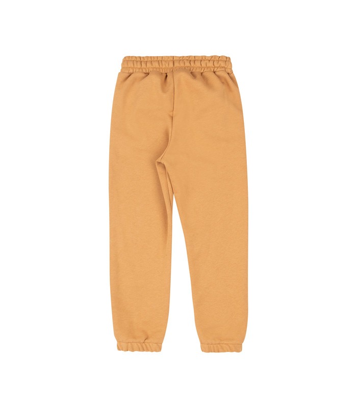 Дитячі штани ШР774 (G00)