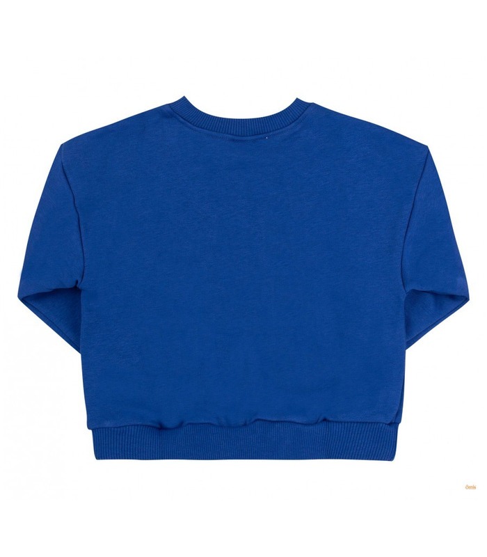 Детский свитшот ДЖ315 (800)