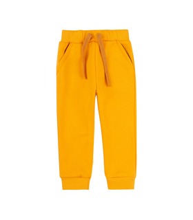 Дитячі теплі штани ШР750 (E00) ➤ жовті спортивні дитячі штани від МамаТато
