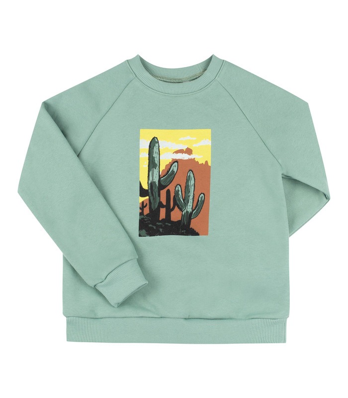 Детский свитшот ДЖ302 (U00)