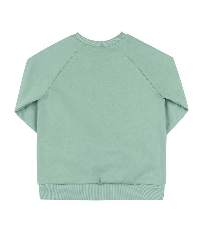 Дитячий світшот ДЖ302 (U00)