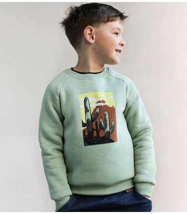 Дитячий світшот ДЖ302 (U00)