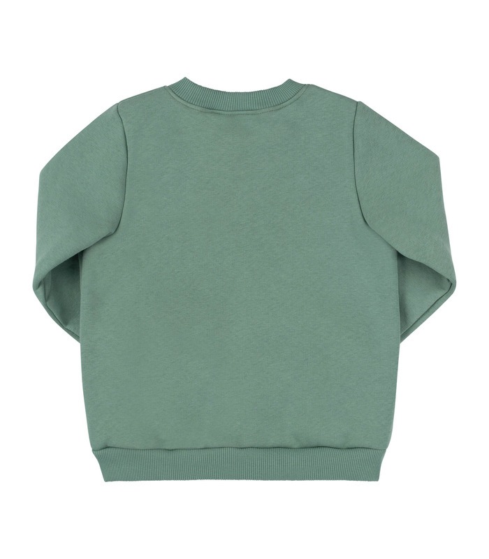 Дитячий світшот ДЖ306 (U00)