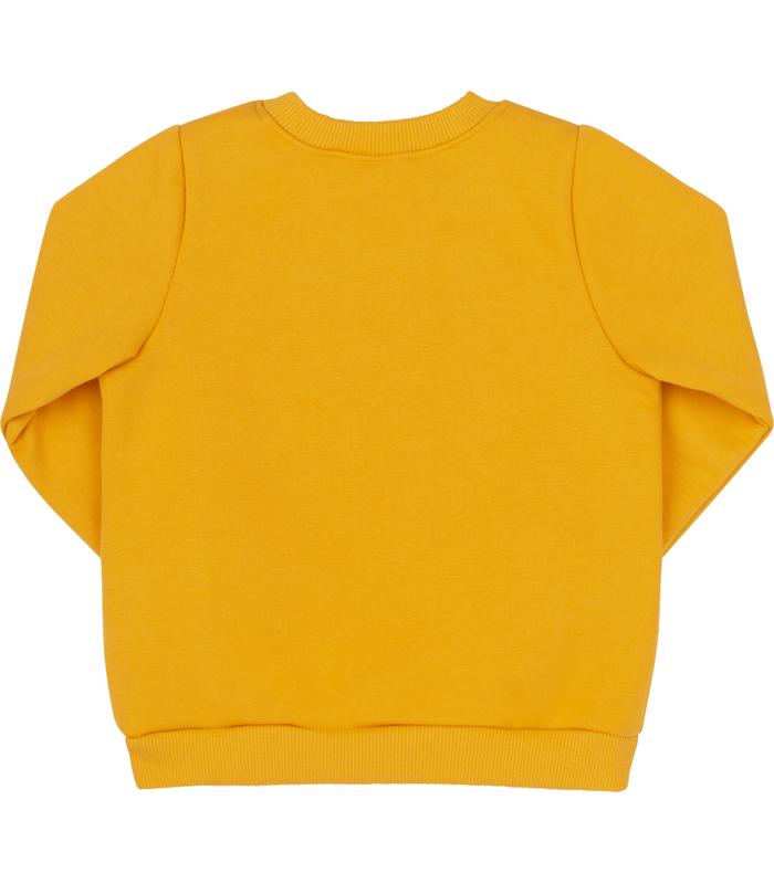 Дитячий світшот ДЖ298 (E00)