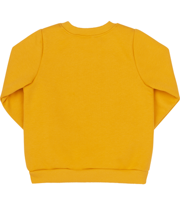 Дитячий світшот ДЖ298 (E00)