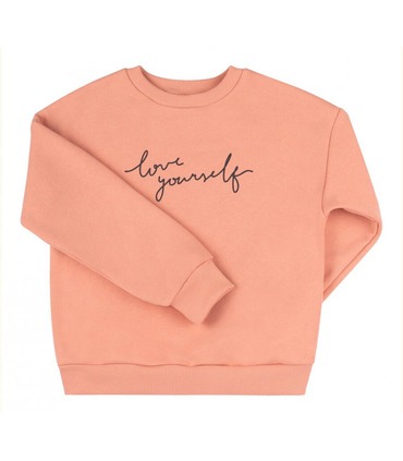 Детский свитшот ДЖ307 (I00)