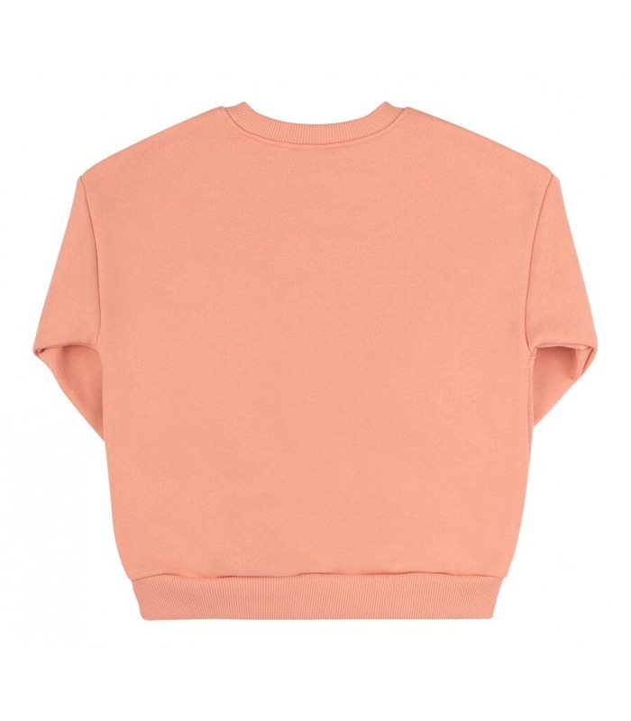 Дитячий світшот ДЖ307 (I00)